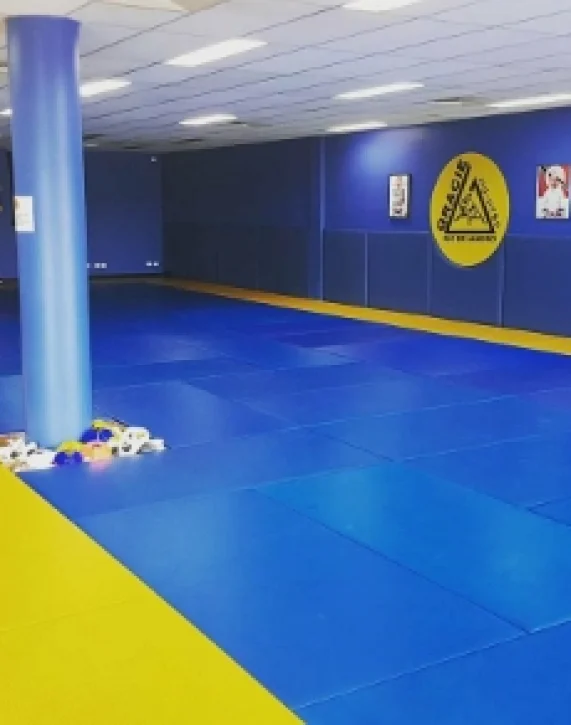 jiu jitsu